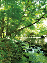画像：明神館　散歩道